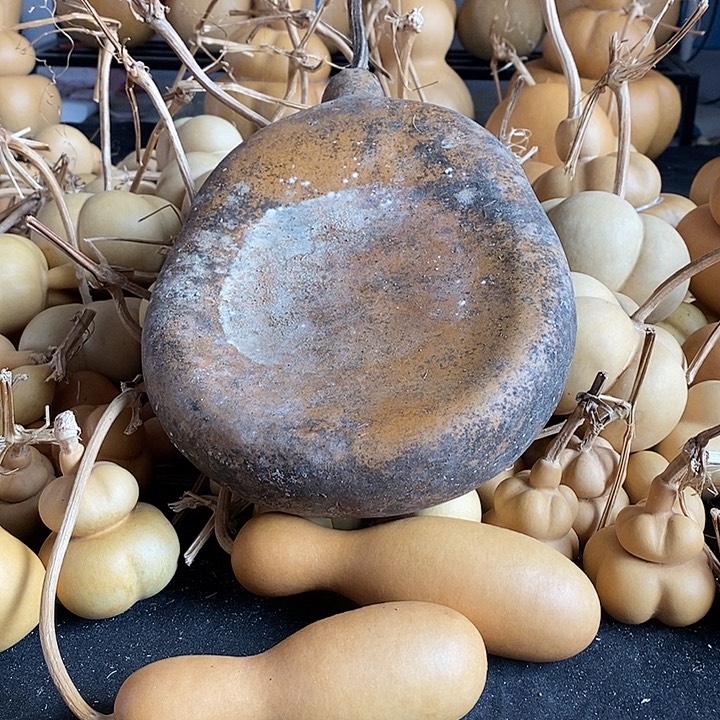 月****阳葫芦的颜色是蓝色的还是