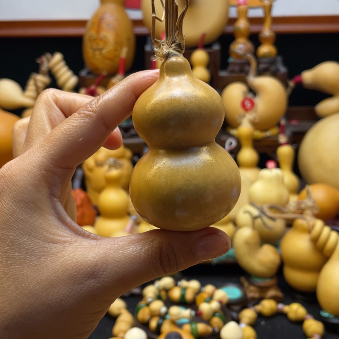 蛋*大自然的秘密第十一节的秘密