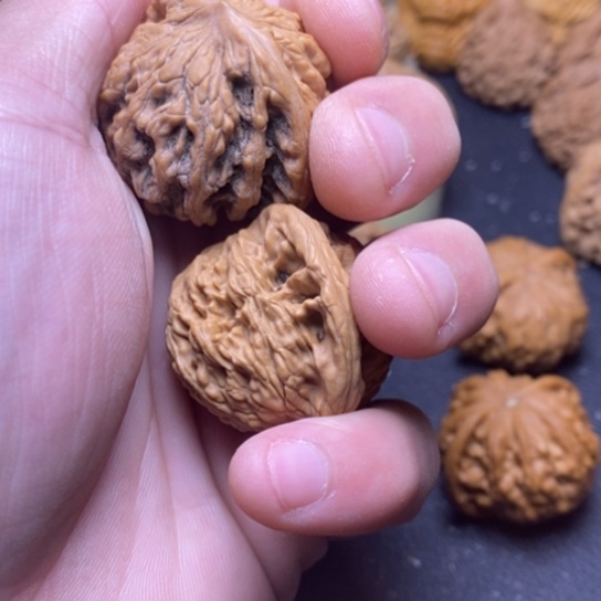 文玩核桃全品麦虎