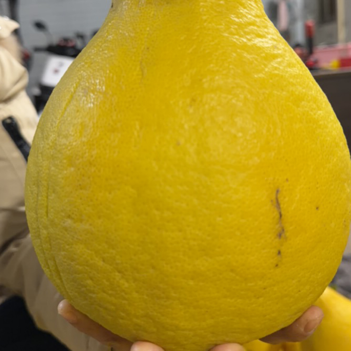 （微瑕纯大果30斤）正宗梅州沙田柚无酸新鲜应季水果产地直发