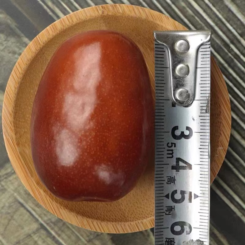 山西壶瓶枣 脆枣 鲜枣 冬枣日常休闲新鲜水果小吃 零食 鲜货 脆枣