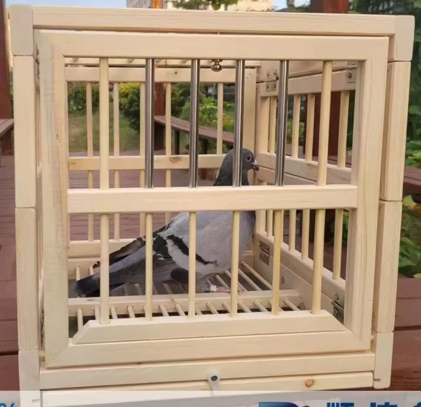 高品质松木鸽子配对笼赛飞信鸽巢箱实用木制鸽具