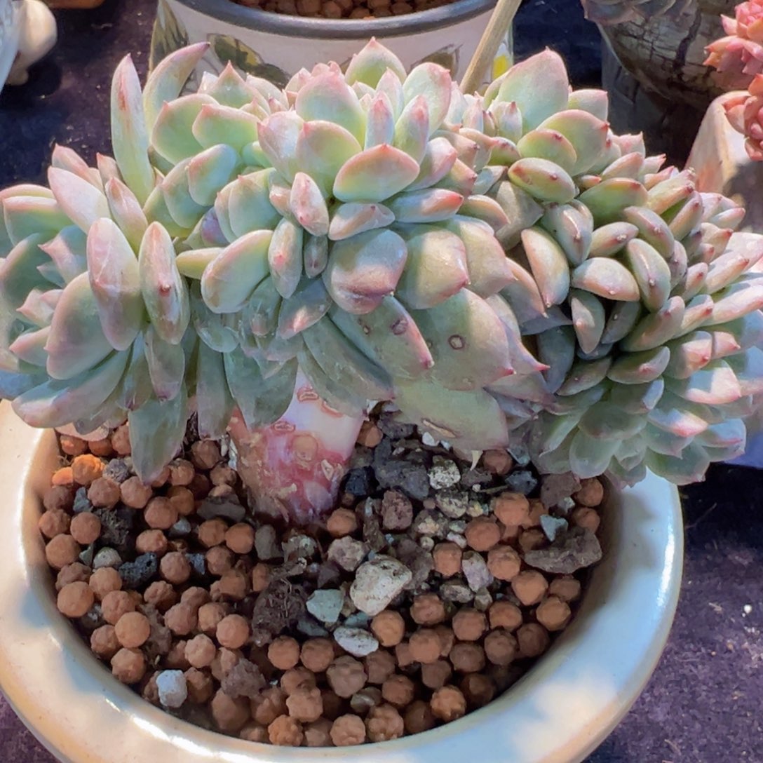 新年快乐啊宝宝们8888888888