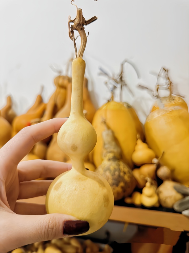 天然画皮葫芦满15包邮