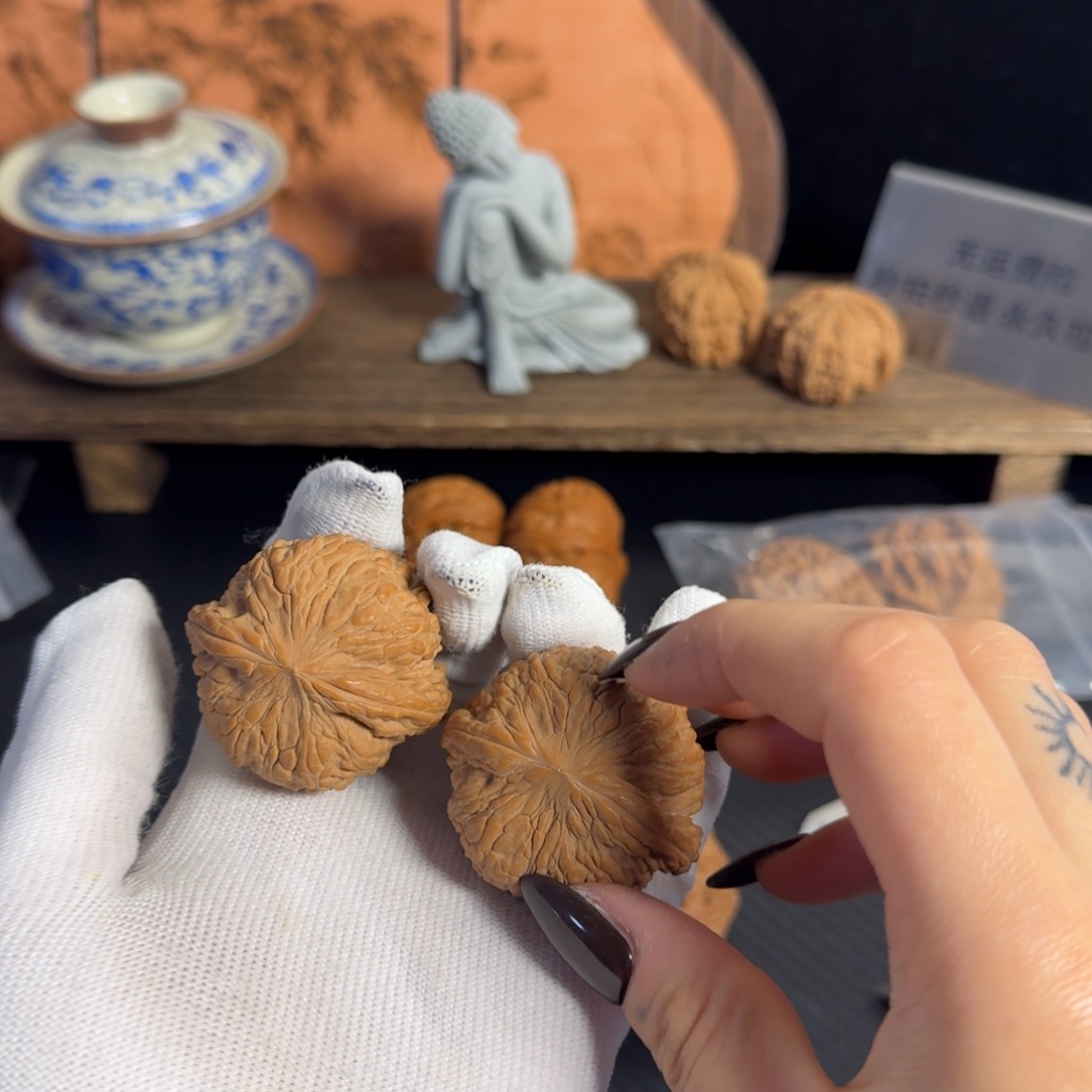 44全品泥鳅背白茬红皮