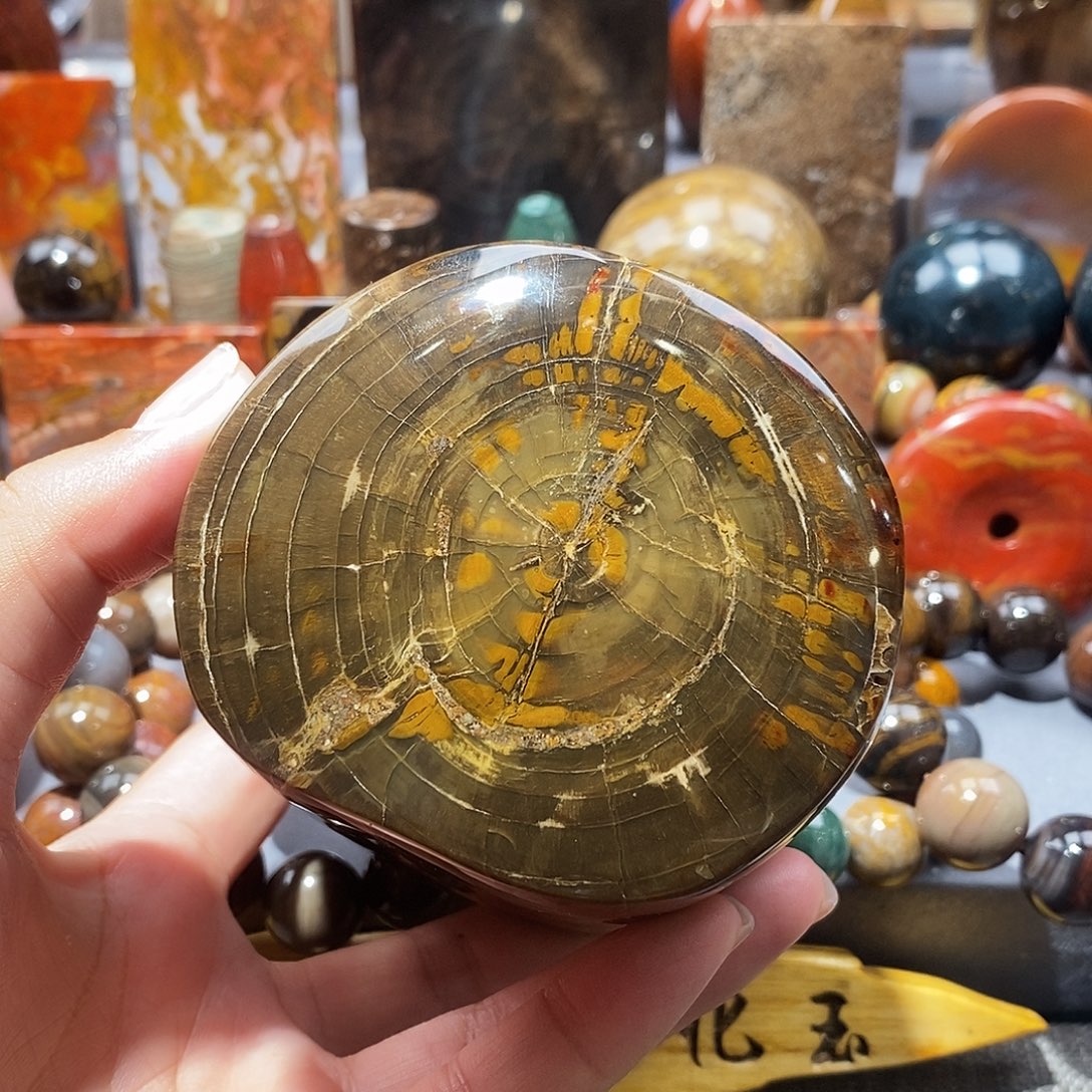 硅化玉天然北票硅化玉原石未镶嵌