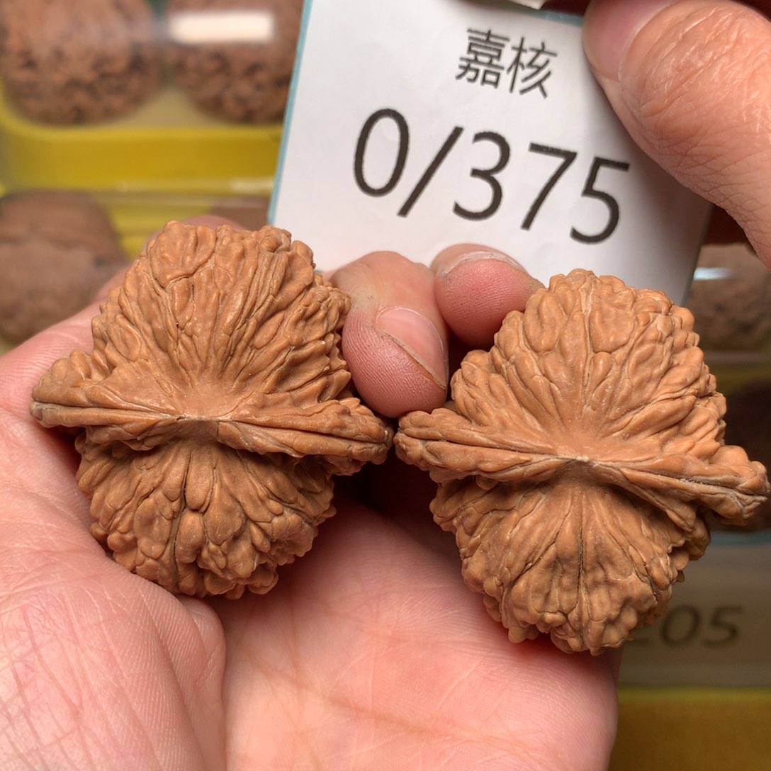 文玩核桃把件平谷一代楼42