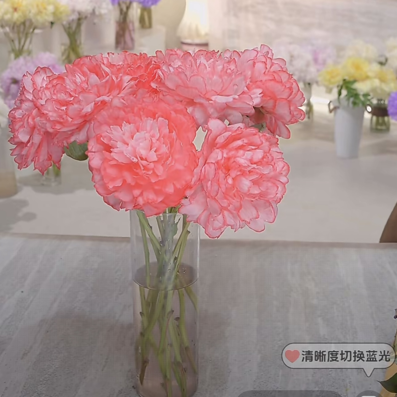 布朗尼芍药吸色-有色差正常阴凉处养护怕风怕热发货根部包水