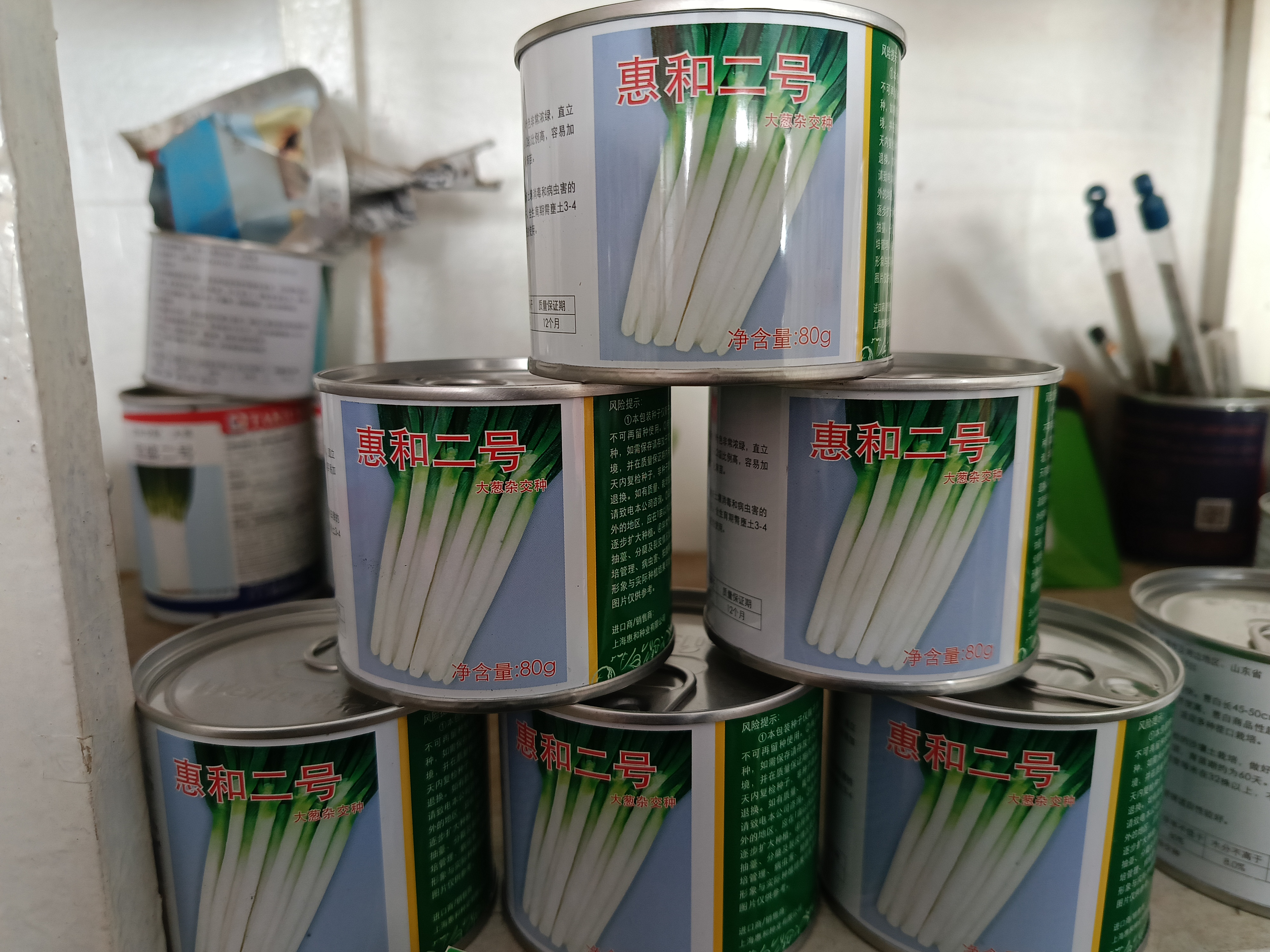 惠和二号生长速度快，抗热耐涝大葱品种。