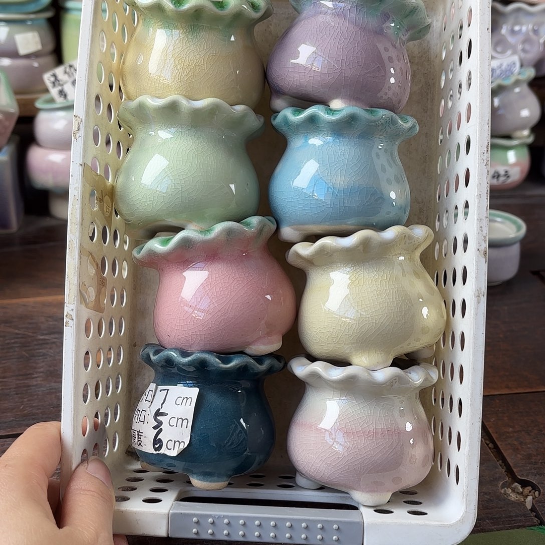 量货/5口高6深浅搭配发6