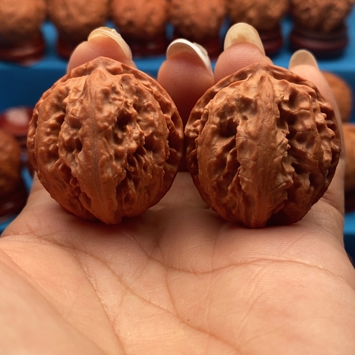 核桃精品文玩核桃手捻粗筋王