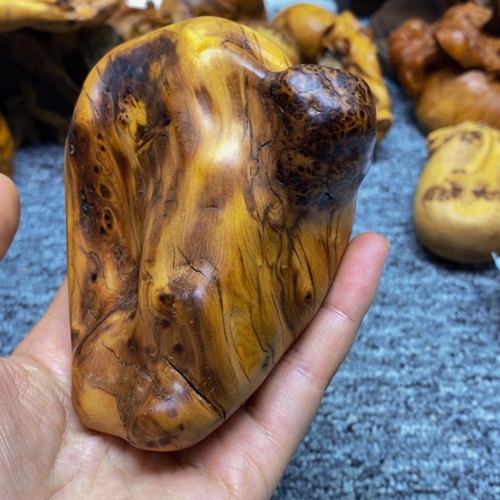 柏木（崖柏）崖柏172