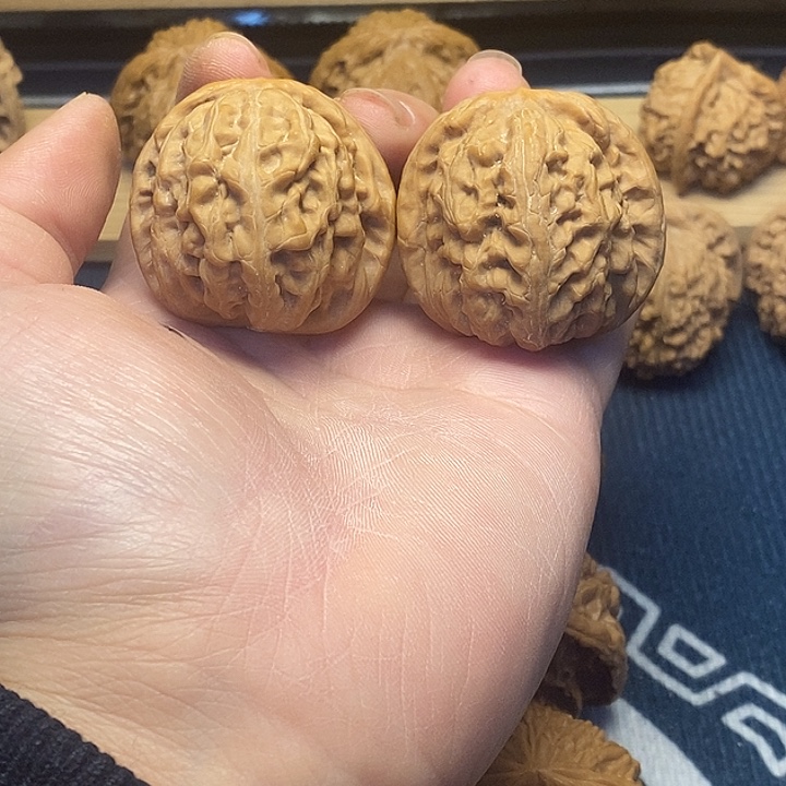 核桃43红锦鲤福利核桃