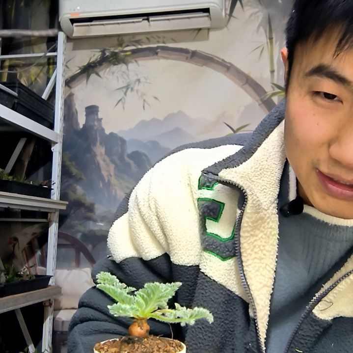 薏***仁中青园艺一物一拍花96