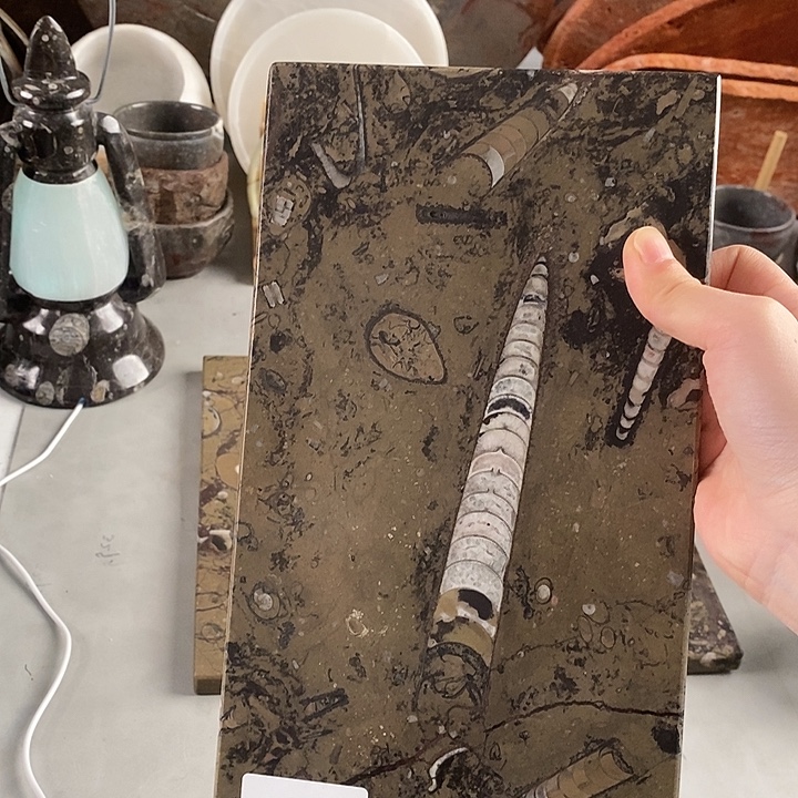 甲***文角石菊石化石茶盘