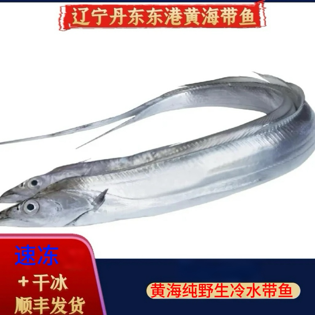 野生黄海深海带鱼 三斤装 约三指宽 嘎嘎棒个别皮毛不好