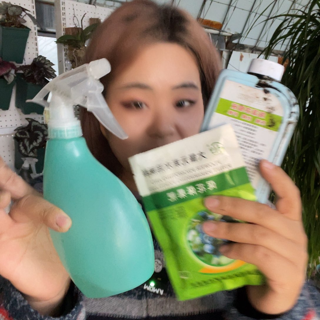 一瓶海藻精 送促花肥 送喷壶