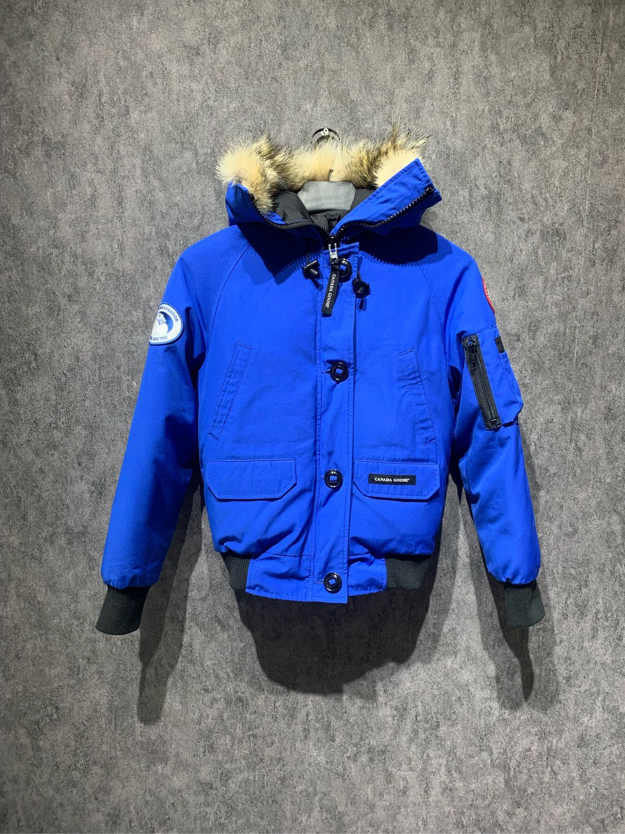 全新未使用 加拿大鹅 【Canada Goose】 飞行夹克羽绒服/Xs码