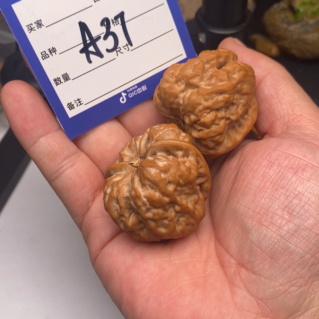 纳***尼手串/手链核桃A37蛤蟆头