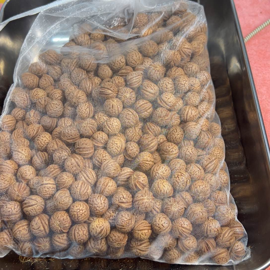 吊坠龙脊菩提桃核散子730颗