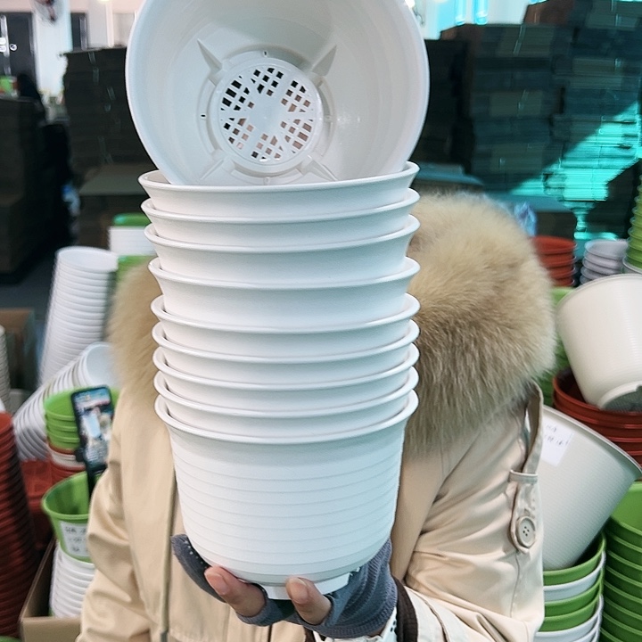 正品矮陶口15果11米色10个无托