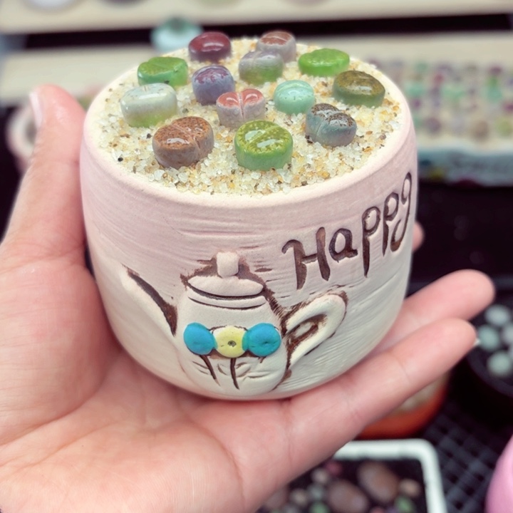 512零下地区记得拍保温箱