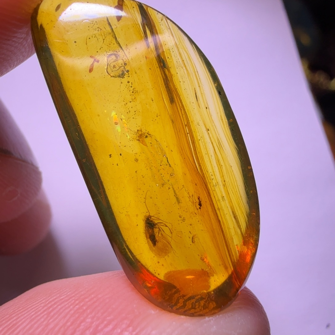 未镶嵌琥珀裸石4号