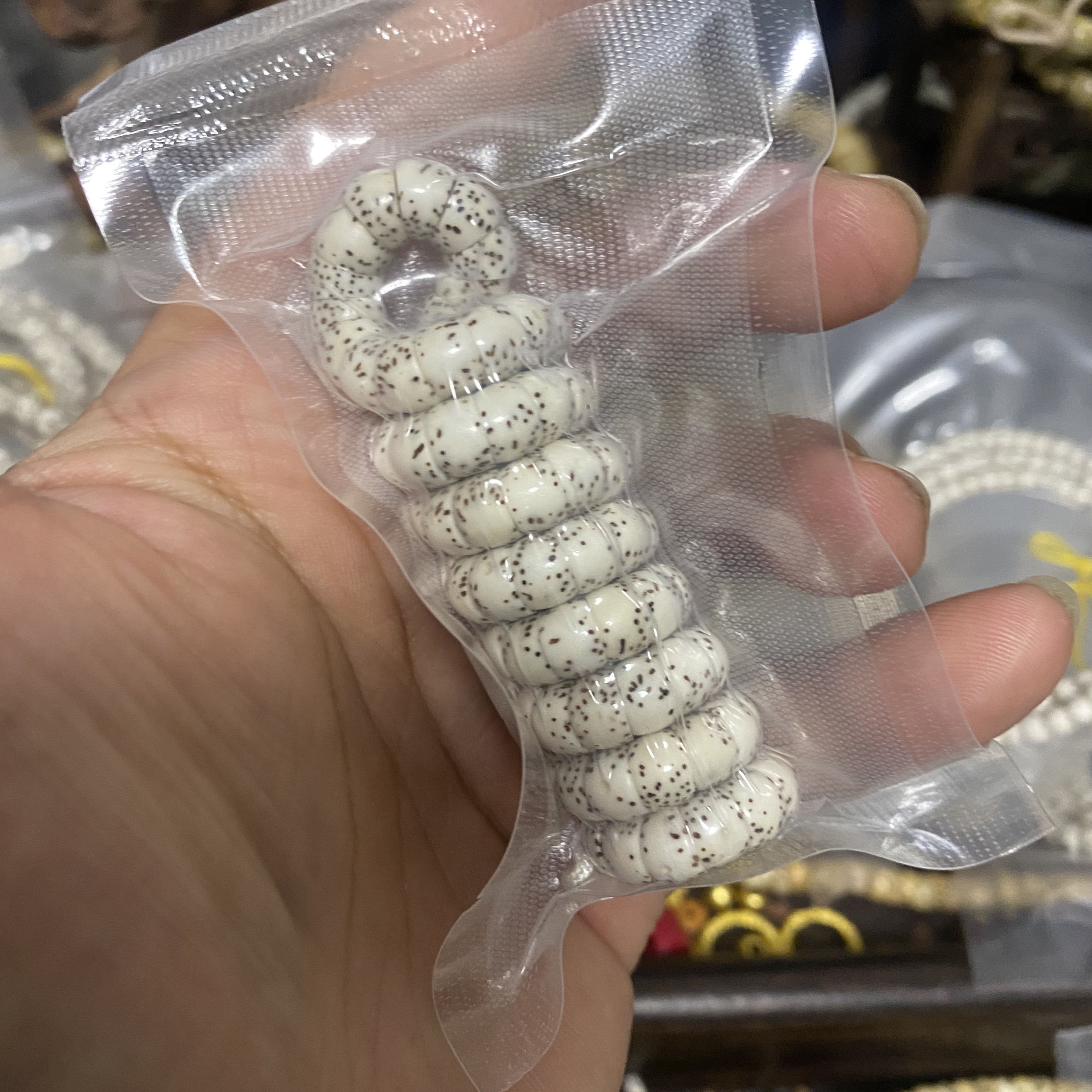 海南星月菩提大肠卡7原生态