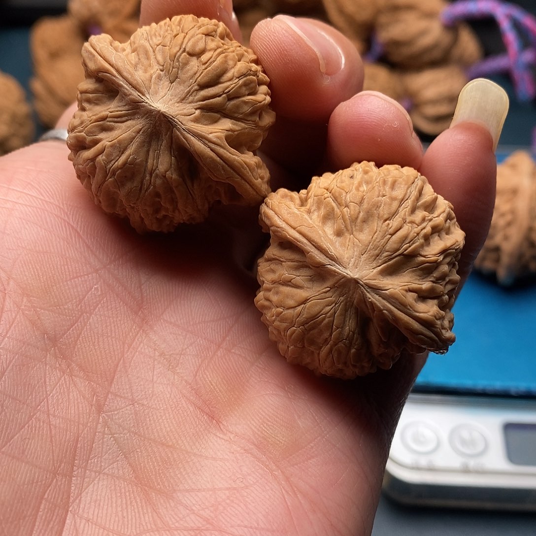 文玩核桃磨盘36全品