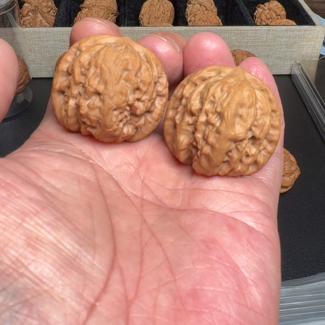 文玩核桃把件全品野狼 尺寸37