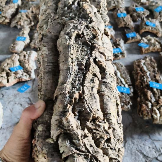 完全开放顺顺利利，平平安安