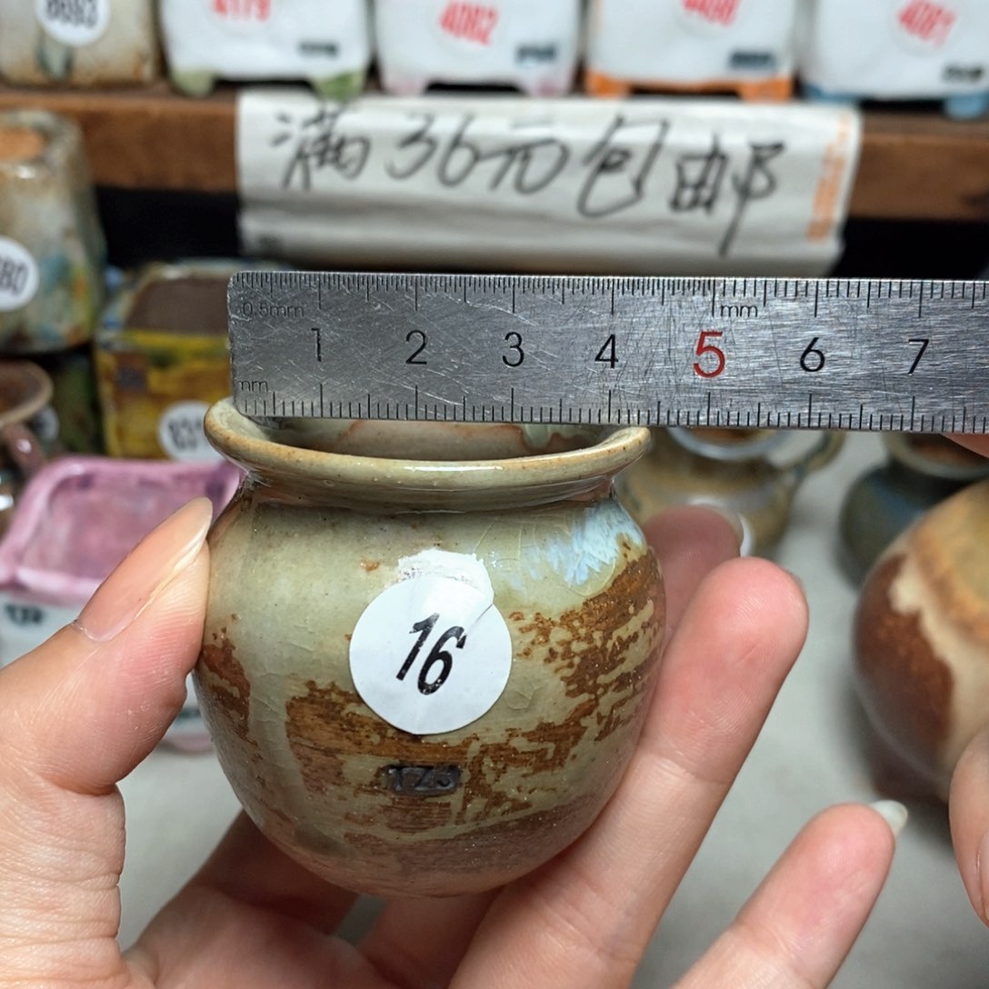 拍5送一个小礼物