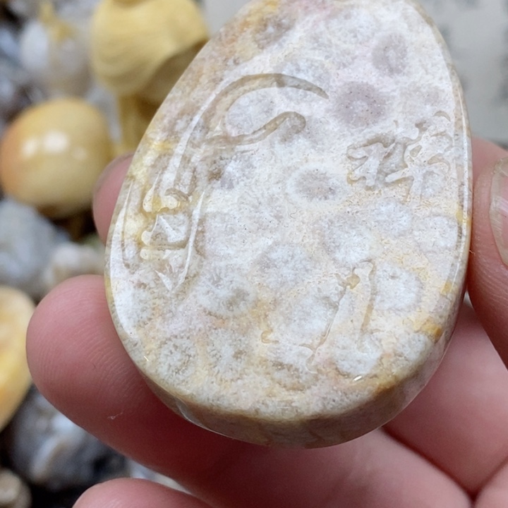 颈饰未镶嵌硅化珊瑚（珊瑚玉）
