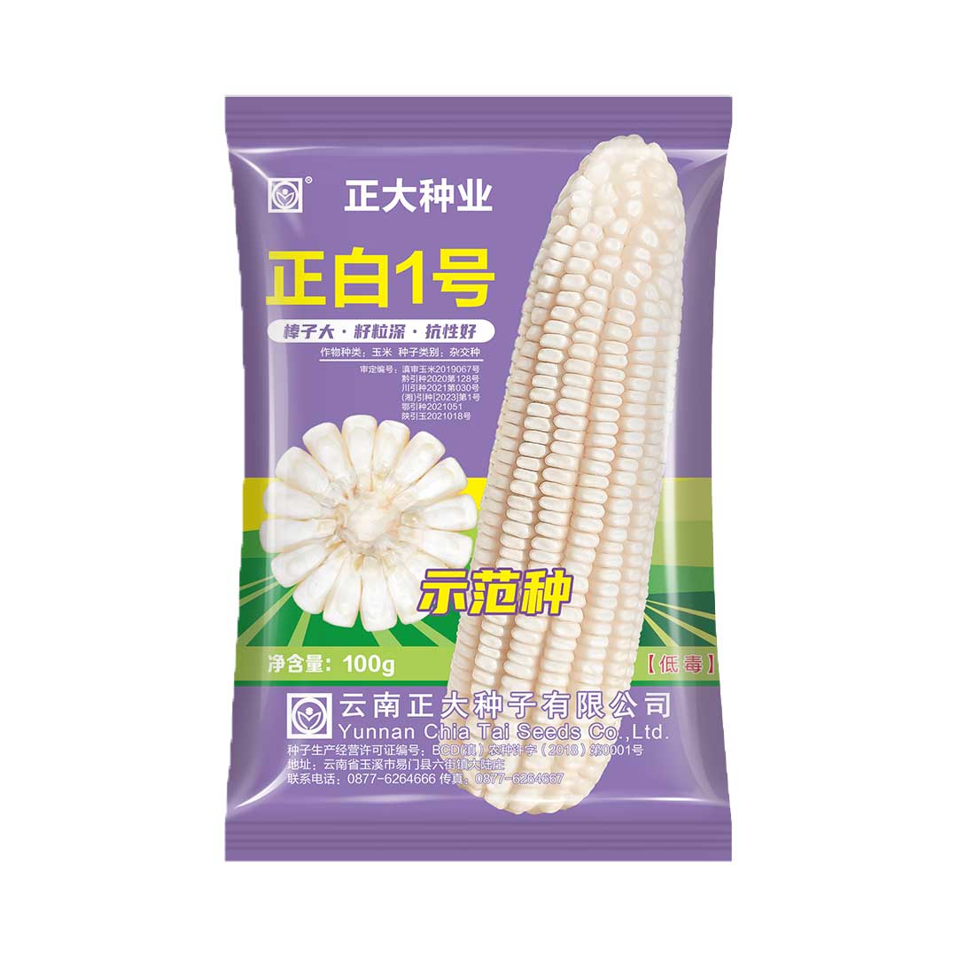 正白1号白玉米二两装100g大棒粒深能上山大田玉米种子小袋试用装