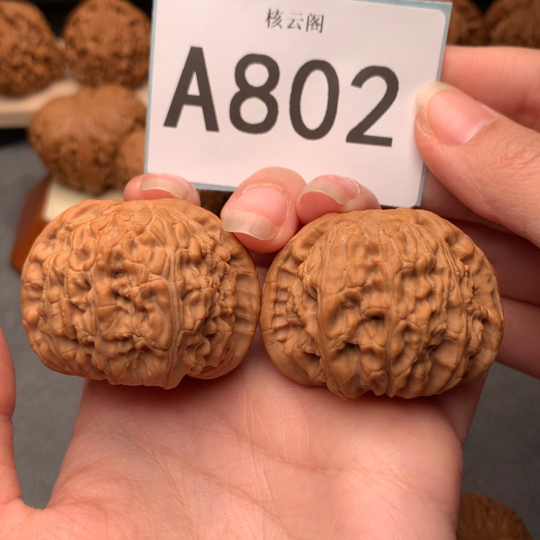 文玩核桃把件43全品白狮子