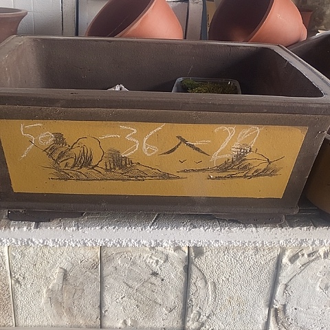 红陶中国宜兴紫砂花盆，