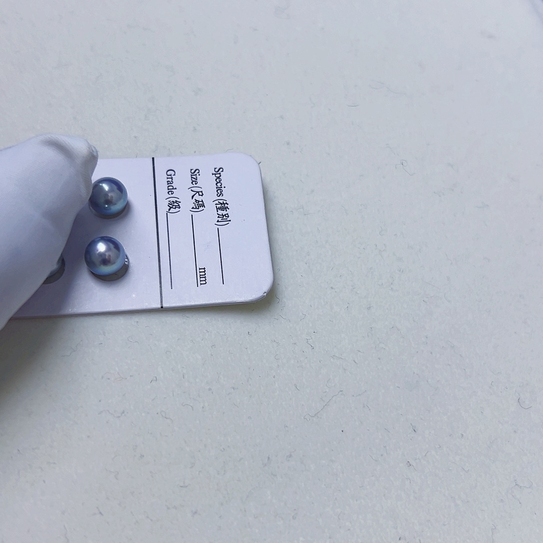 海水珍珠海水akoya真多麻色耳钉7.5-8mm18K金镶嵌