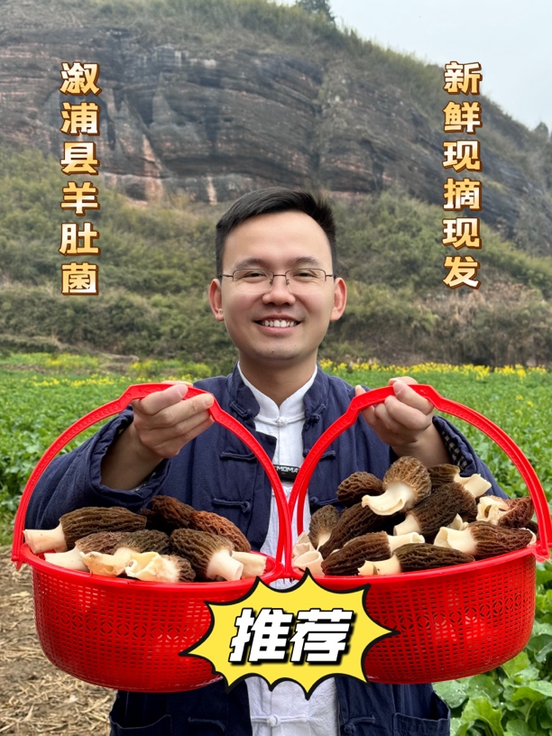 【印象溆浦】溆浦本地助农新鲜羊肚菌