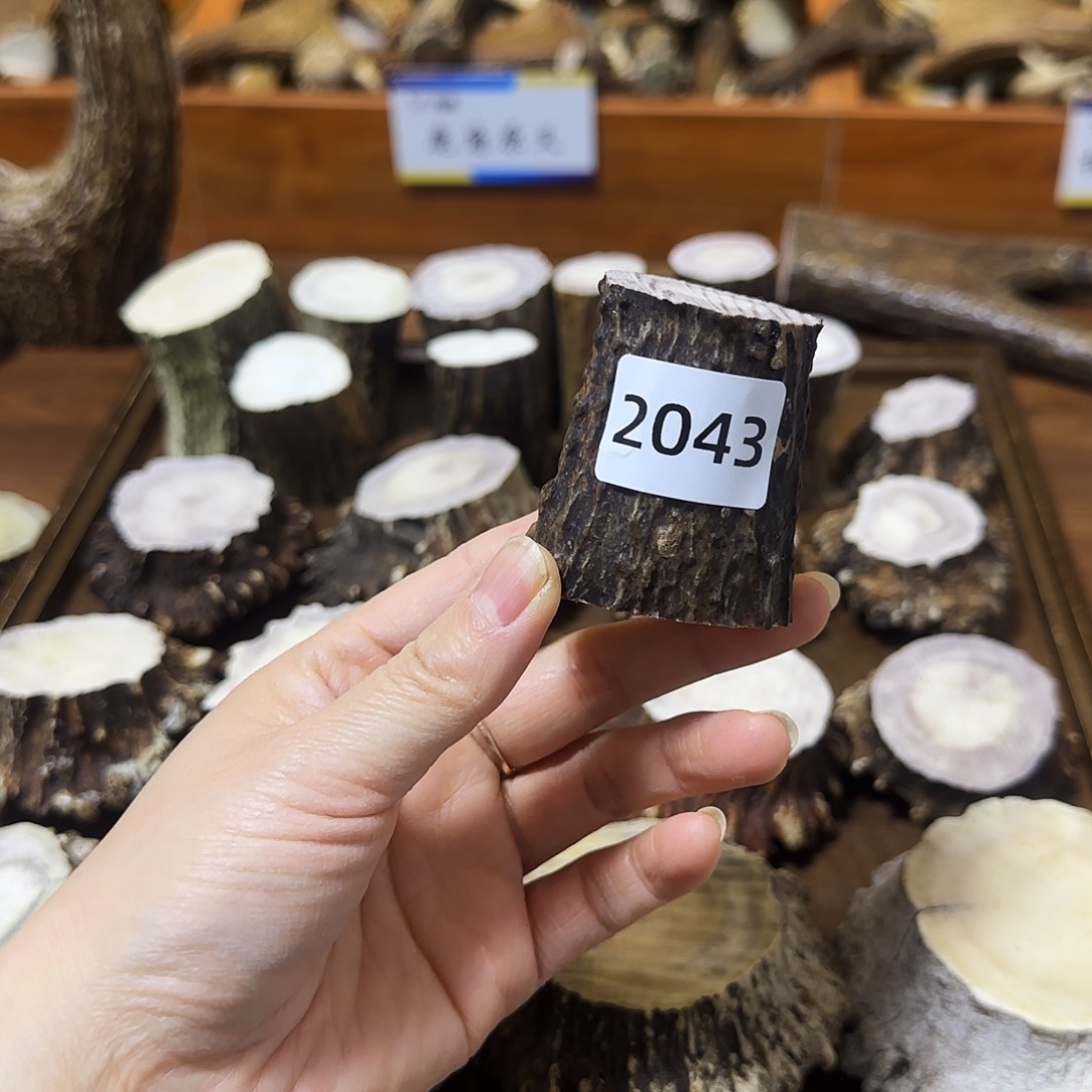 鹿骨手串/手链2043根段