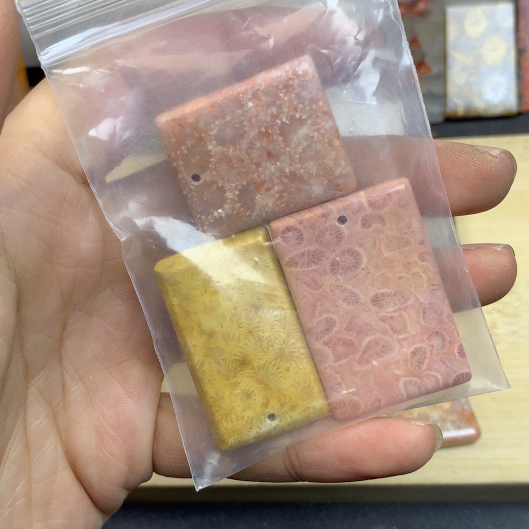 只***下硅化珊瑚（珊瑚玉）未镶嵌颈饰