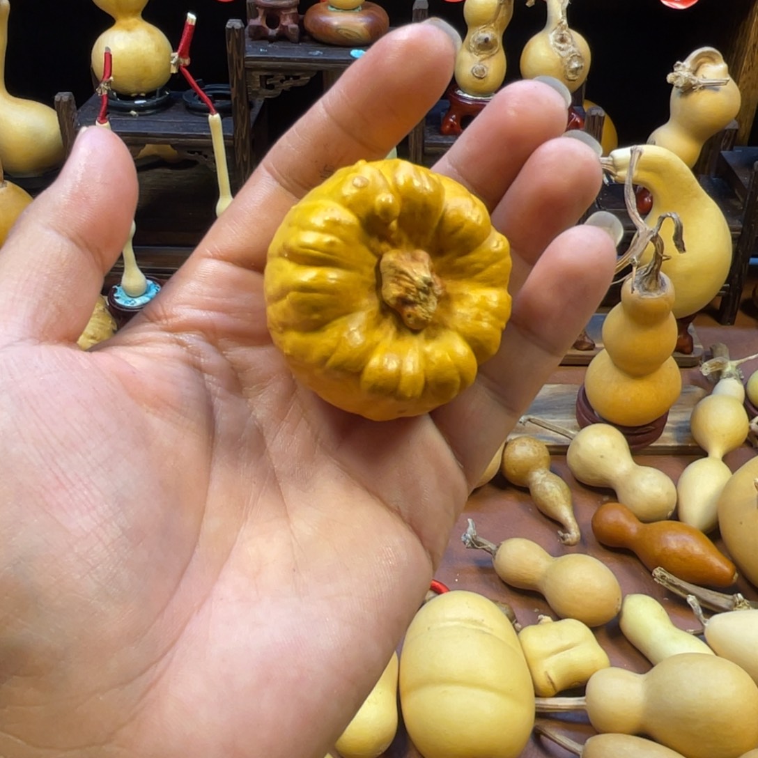 吾***海葫芦村村名为沙头山和