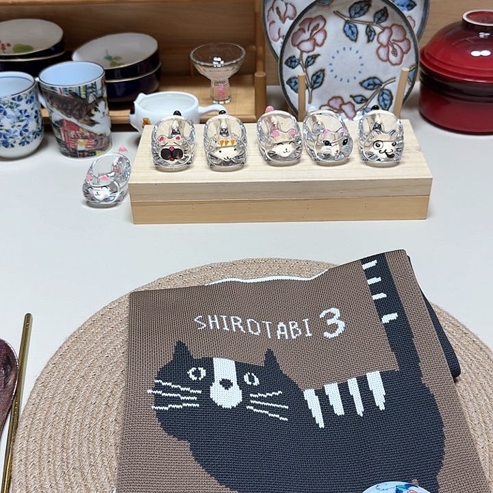 晓晓推荐瓷片瓷器