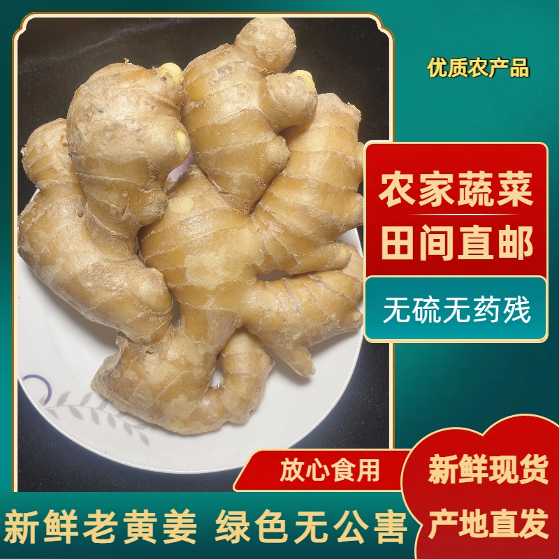 山东生姜新鲜老姜大姜健康生姜水洗无泥风干纯正黄姜母大姜原生态