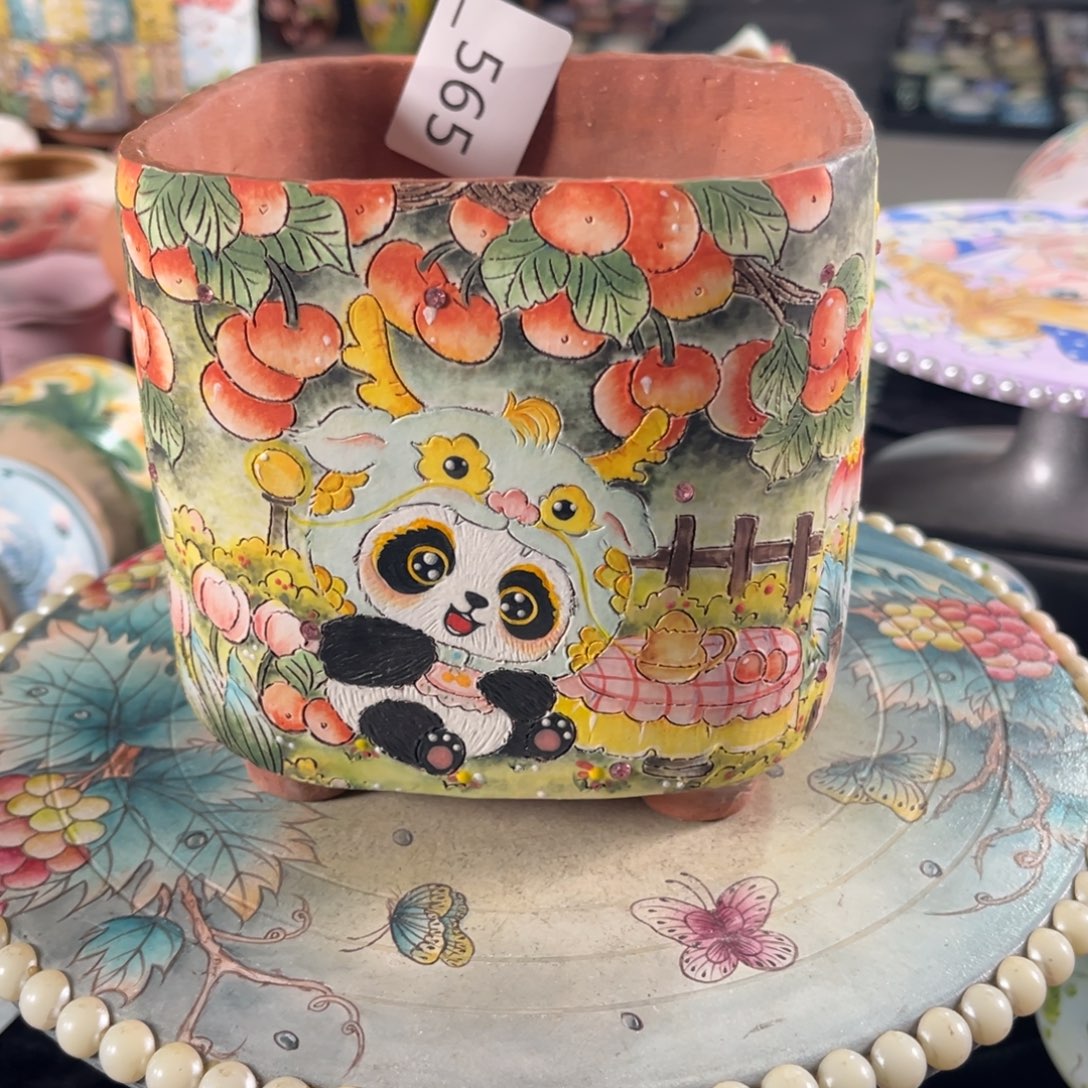 东***姐565多肉花盆   1个