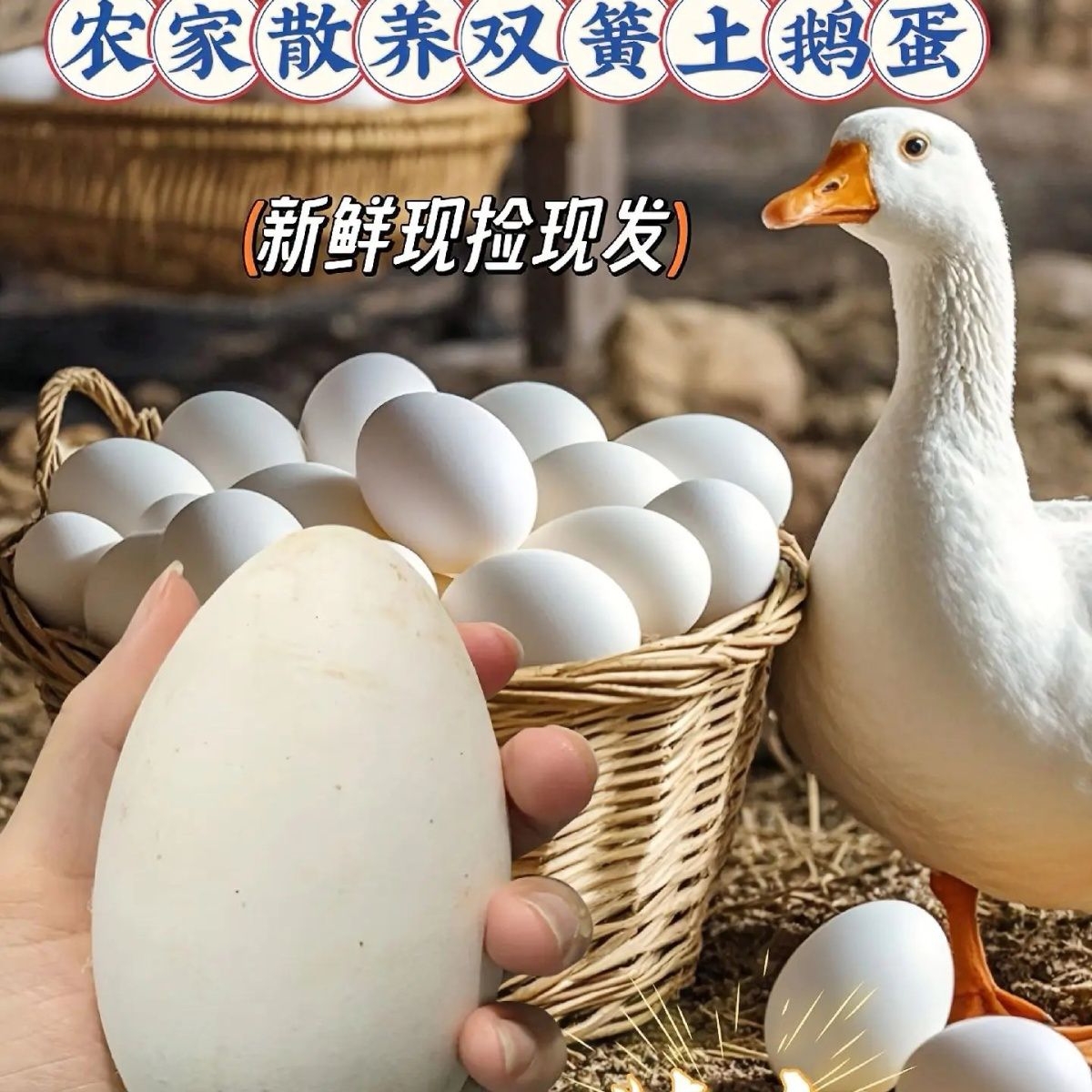 【新店开业】自家鹅产的双黄土鹅蛋一箱12枚包邮