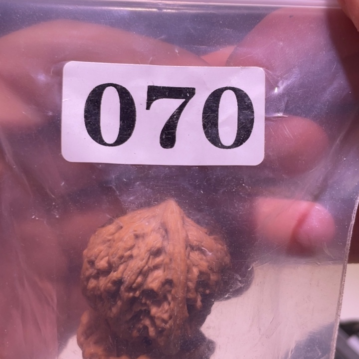 V***n吊坠文玩核桃070密纹