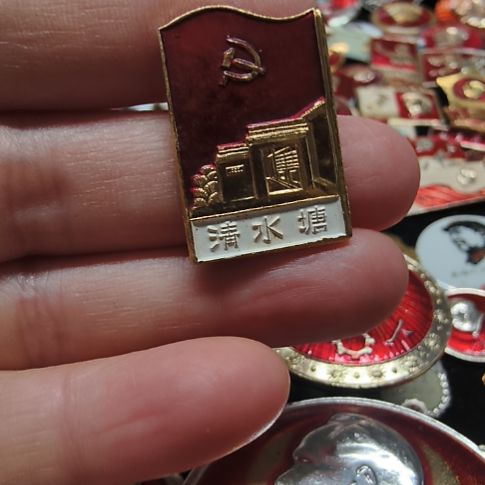 我***翔其他普通金属纪念章111111