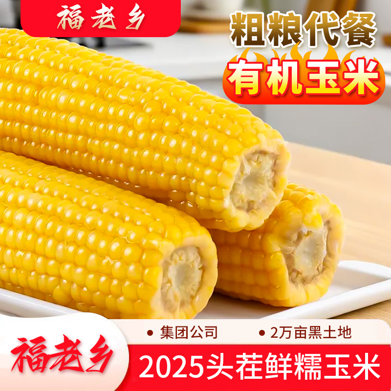 福老乡25年头茬有机糯玉米  香甜软糯 真空包装 老人小孩放心吃