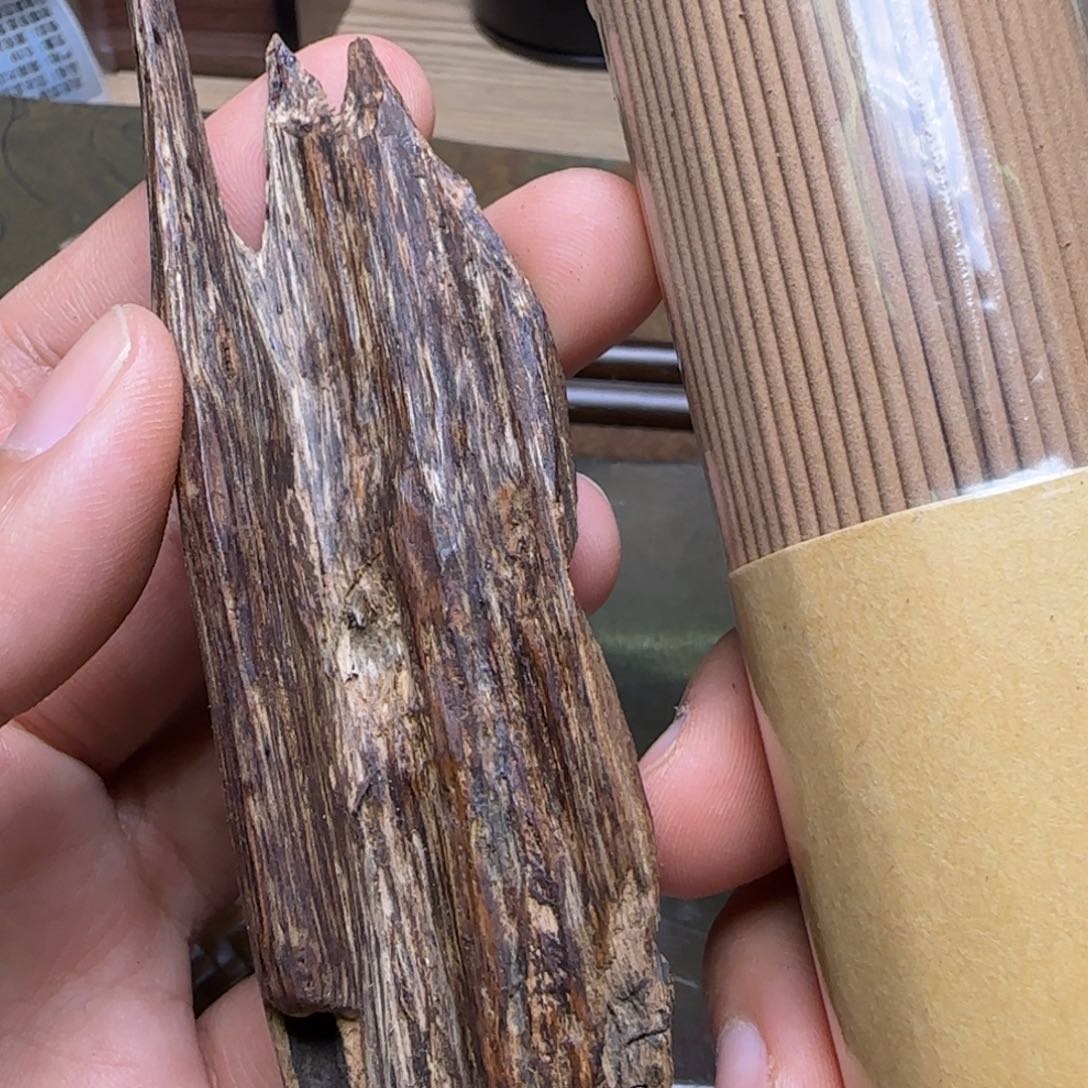 海南尖峰岭虫漏9克重福利