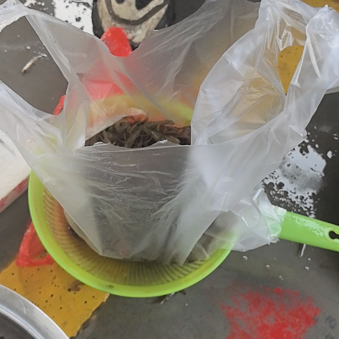 石台小李代购河虾1斤